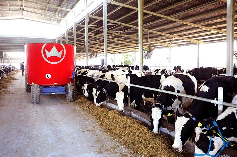 Overseas Indian Brings Cow Friendly Practices To Give Us A &#8216;Himalayan Creamery&#8217; Taste, Lifeinchd