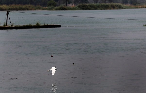 Rupnagar Wetland Offers a Perfect Setting, Lifeinchd