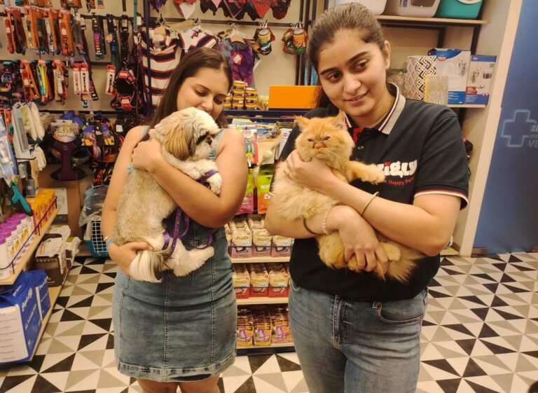 Parents Celebrate Happy Pets Day With Their Pawsome Pals At Zigly-Sec 35 Chandigarh